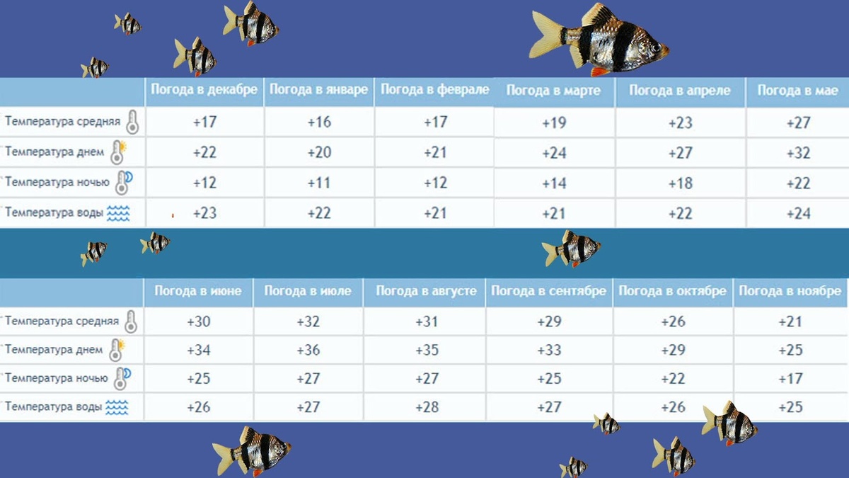 Погода и температура моря в Хургаде по месяцам