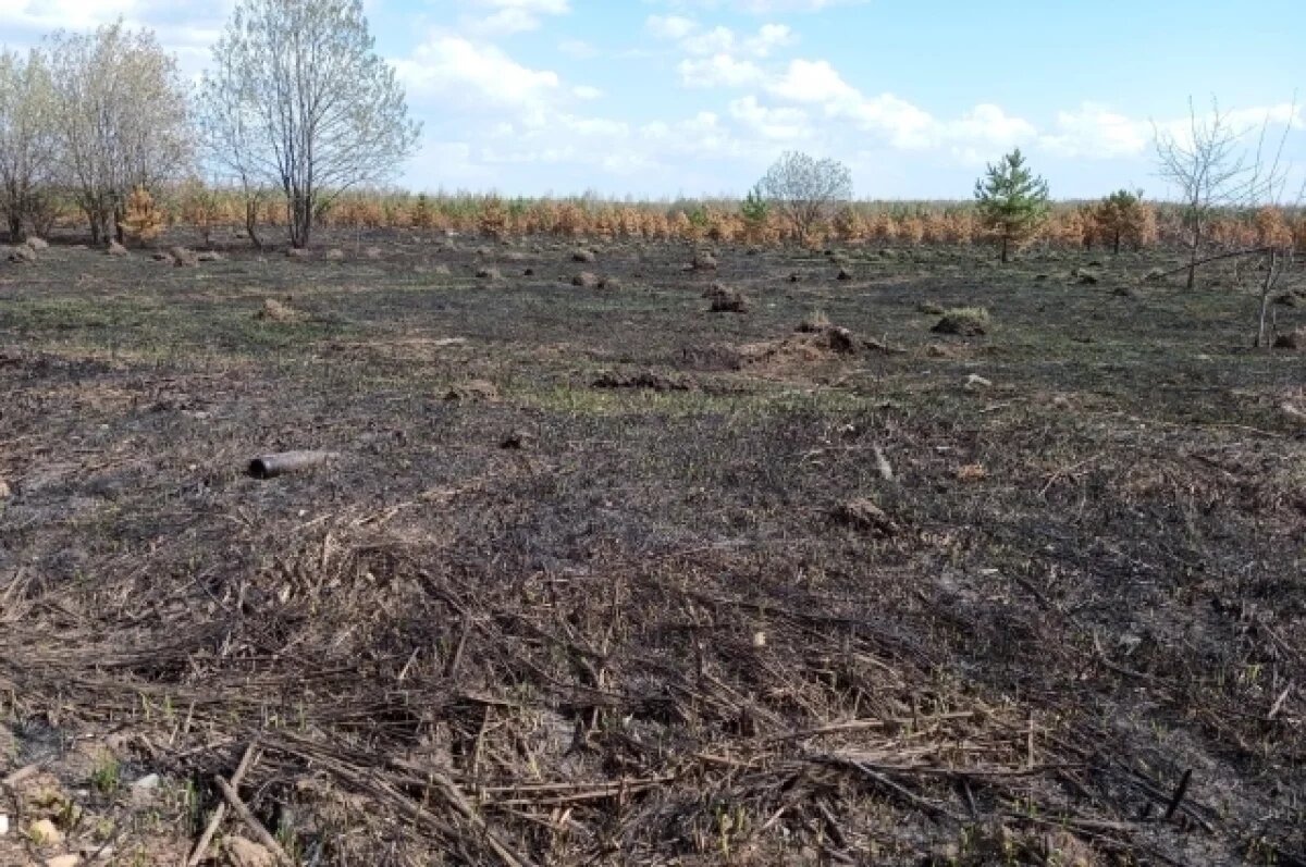    В Мурманской области потушили четыре лесных пожара