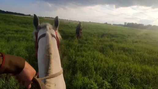 Память, вера, дружба народов. Казаки совершают конный поход Курган-Улан-Батор