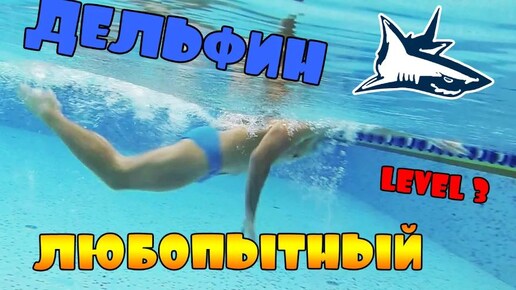 УПРАЖНЕНИЕ ДЛЯ КРОЛЯ LEVEL 3. _ЛЮБОПЫТНЫЙ ДЕЛЬФИН_ SWIMMING CRAWL