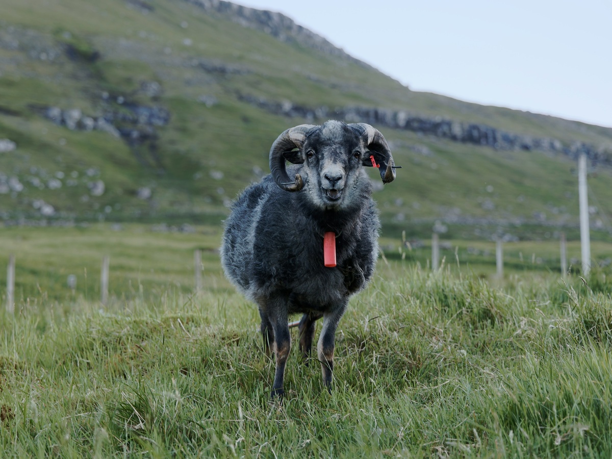 Фото с бесплатного фотостока https://unsplash.com, автор Michael Matloka