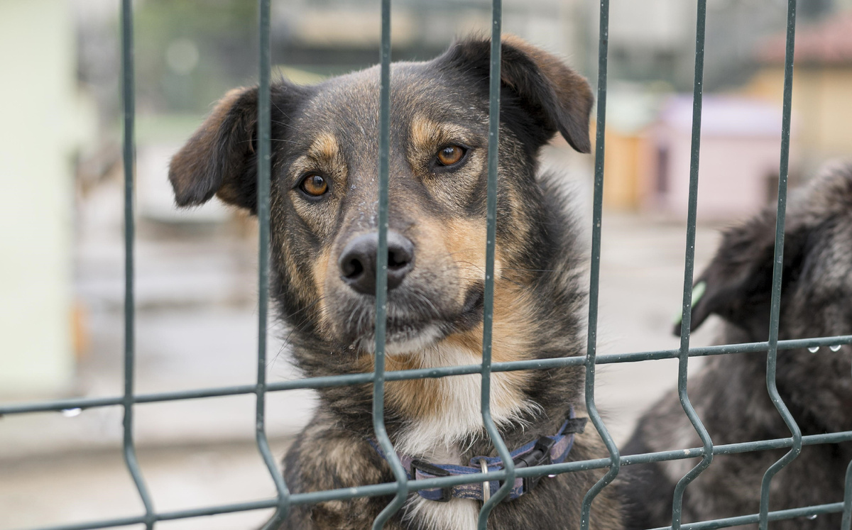 Источник: ru.freepik.com