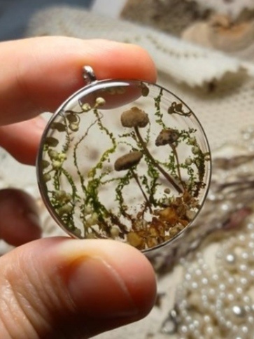 Фото из интернета