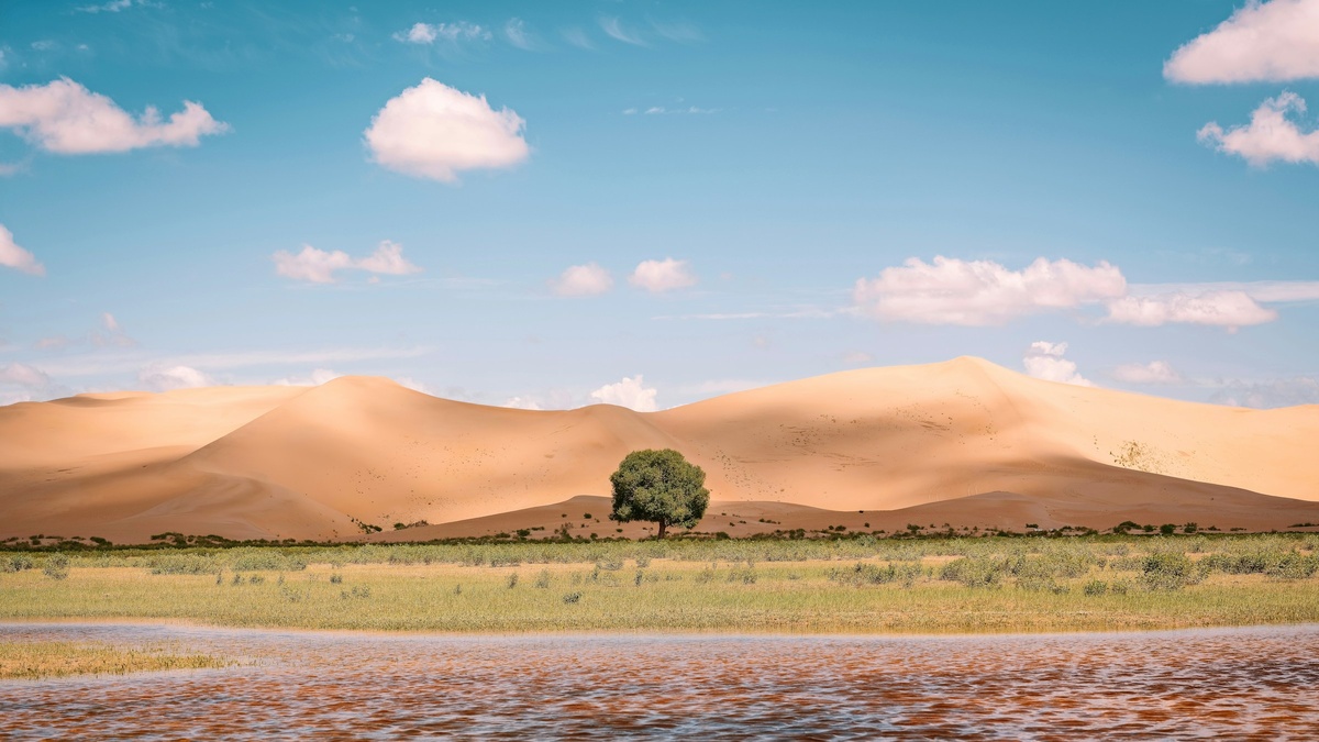 Фото с бесплатного фотостока https://unsplash.com, автор chen zy
