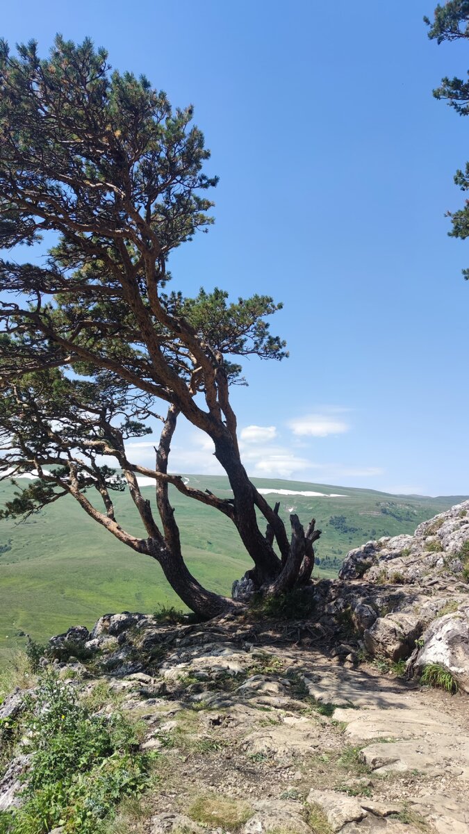 Вид со смотрой площадки