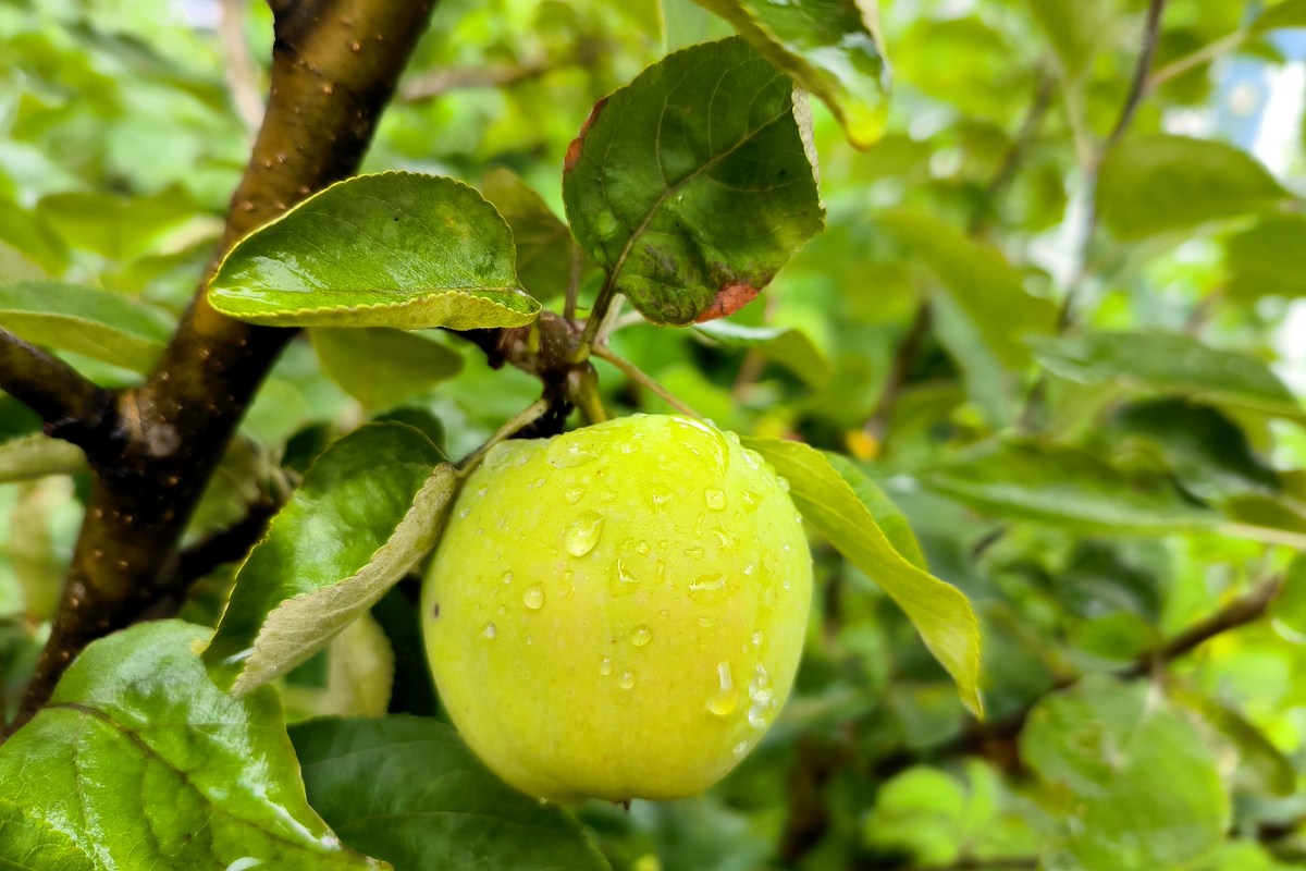 Maksim Konstantinov/Global Look Pres