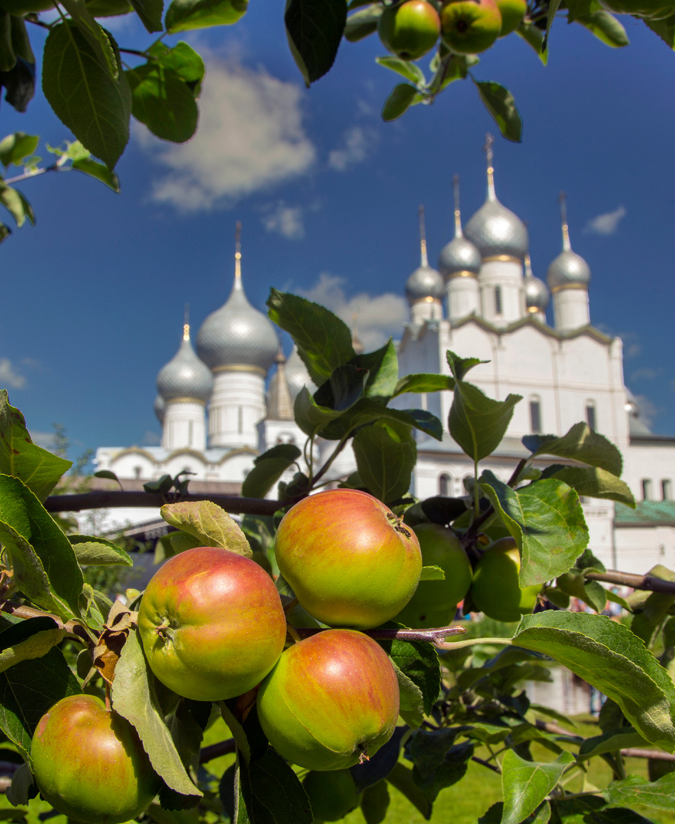 Sergey Metelitsa/Global Look Press