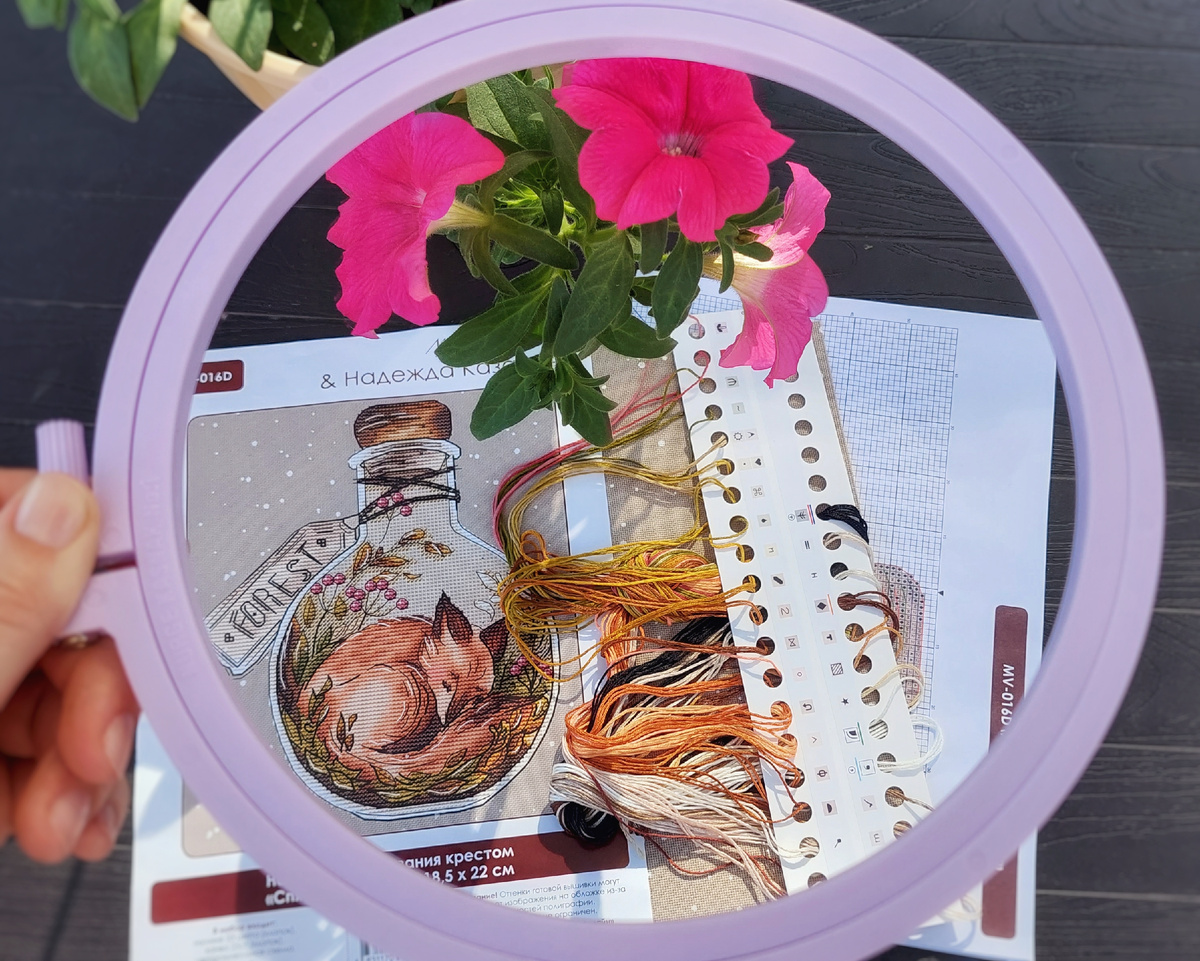 Снимаю старт Лисички