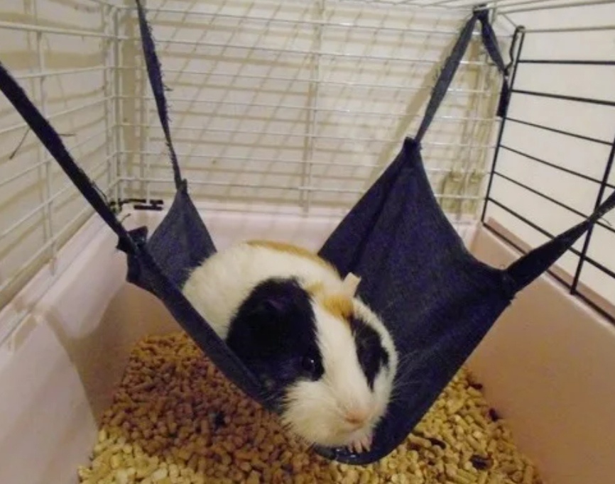 Гамак ( пример) 