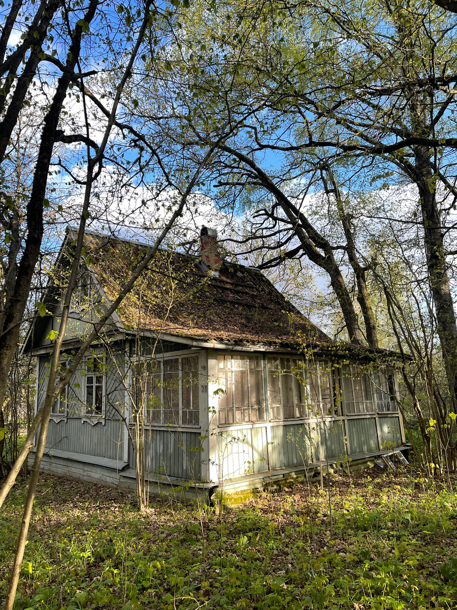Вид на домик в самом начале лета, когда еще не вся листав не распустилась 