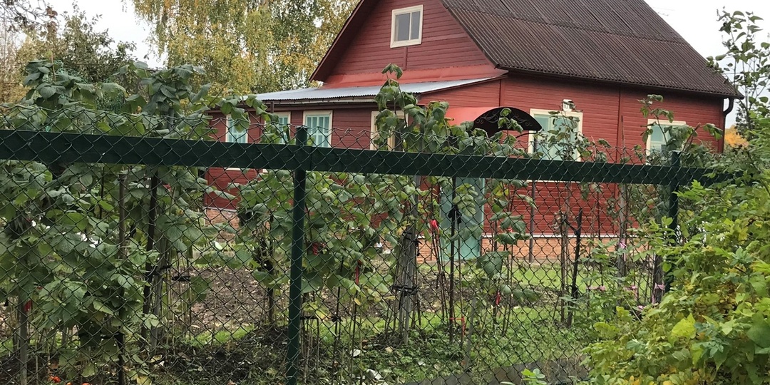 Миф об СНТ (продолжение)