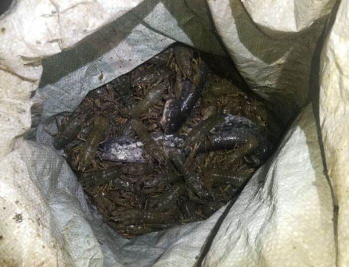 Источник фото: УТ МВД России по СКФО