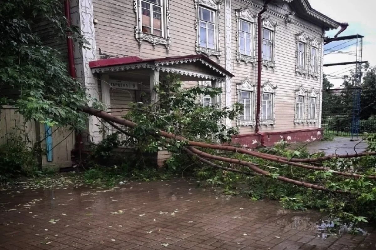    В Томске городские службы уже занимаются уборкой поваленных деревьев