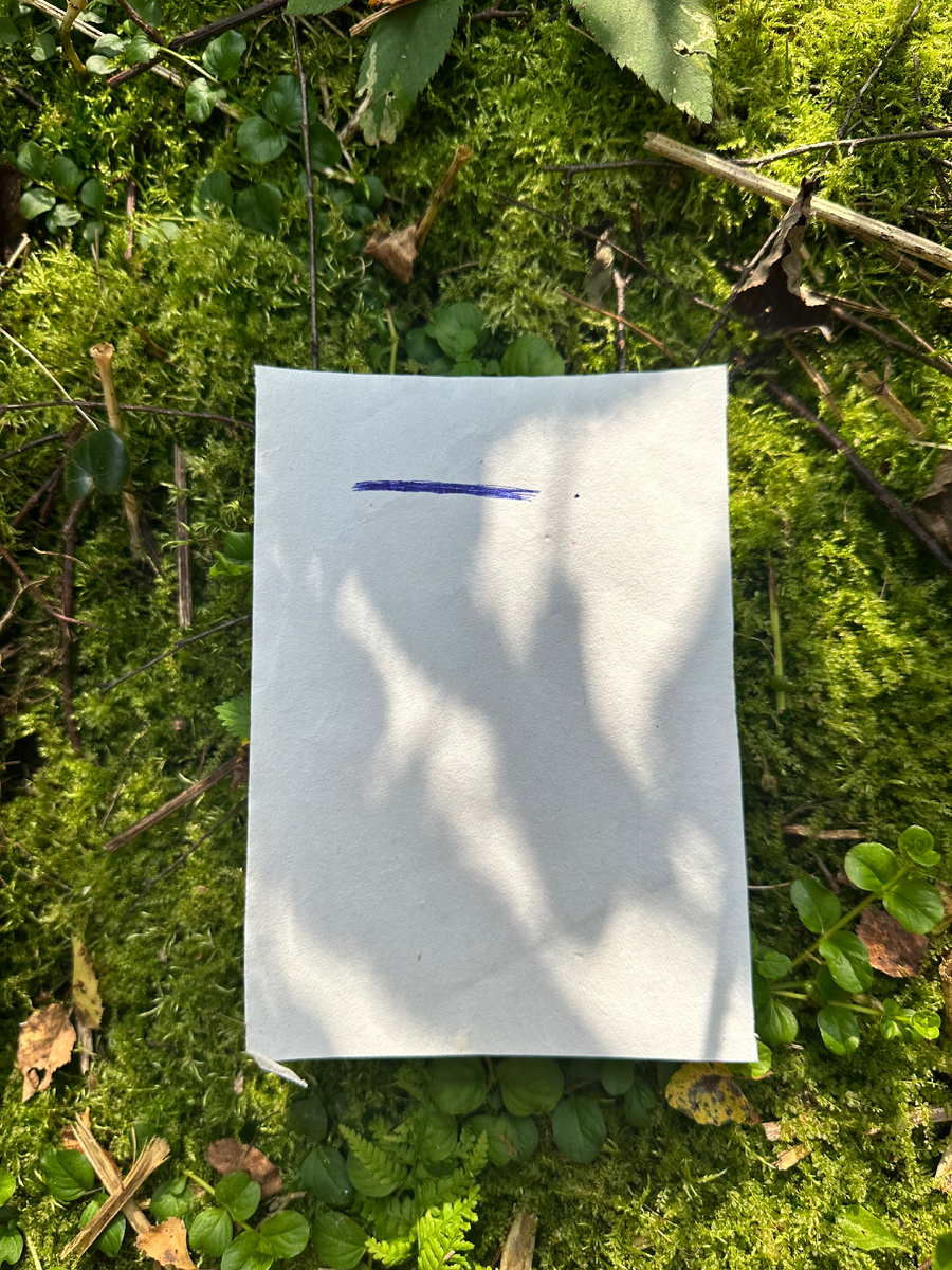 Пример точки и прямой