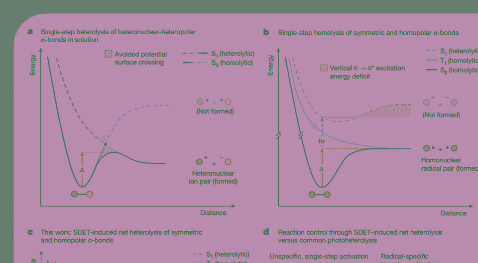   N + 1; Anna F. Tiefel et al. / Nature, 2024