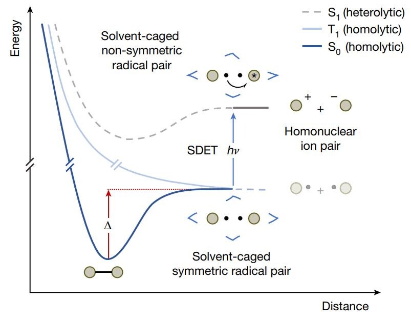   Anna F. Tiefel et al. / Nature, 2024