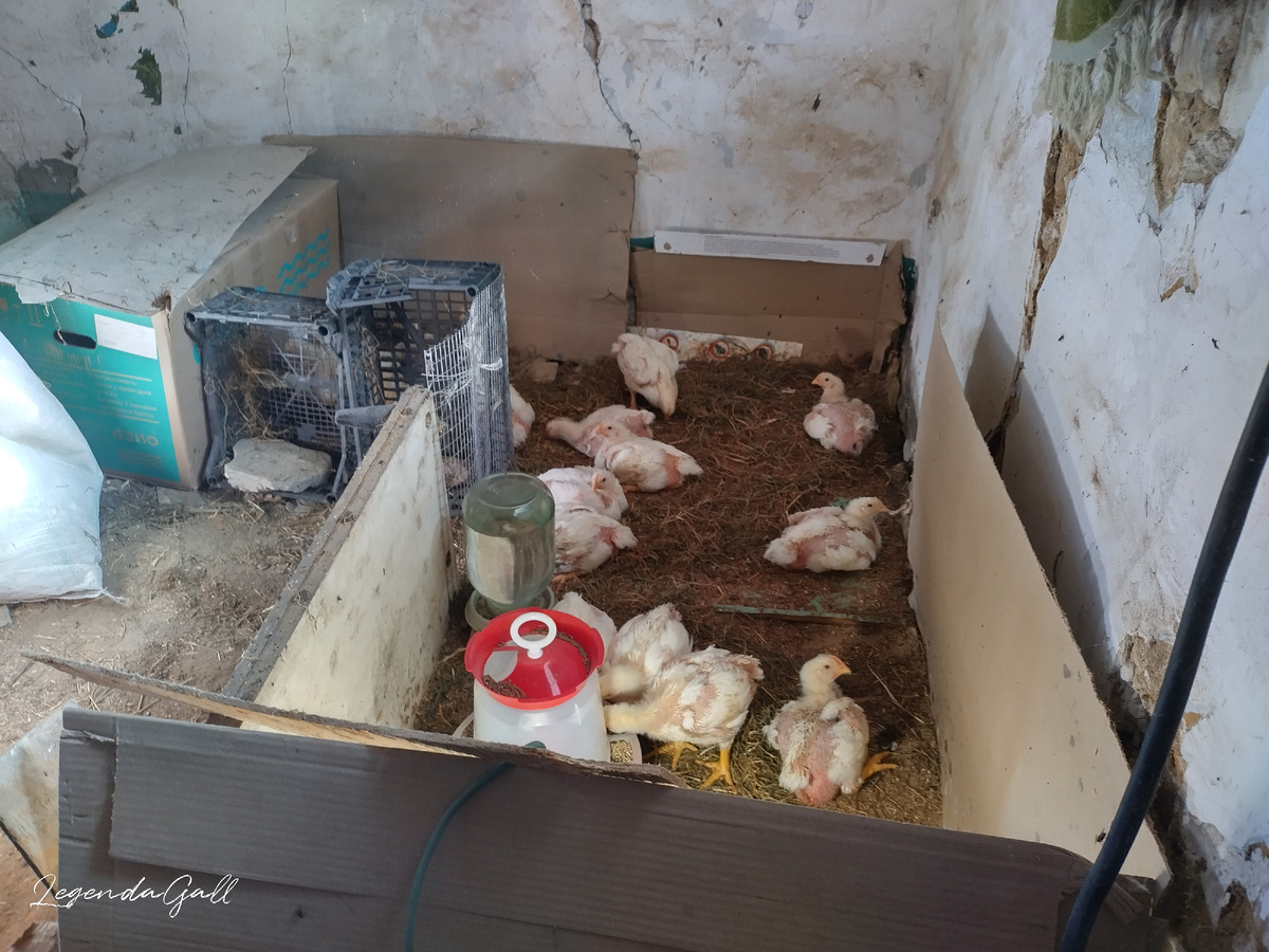 Территория расширяется