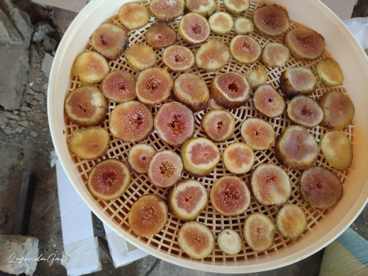 Инжир уже переспел... Долго сохнуть будет