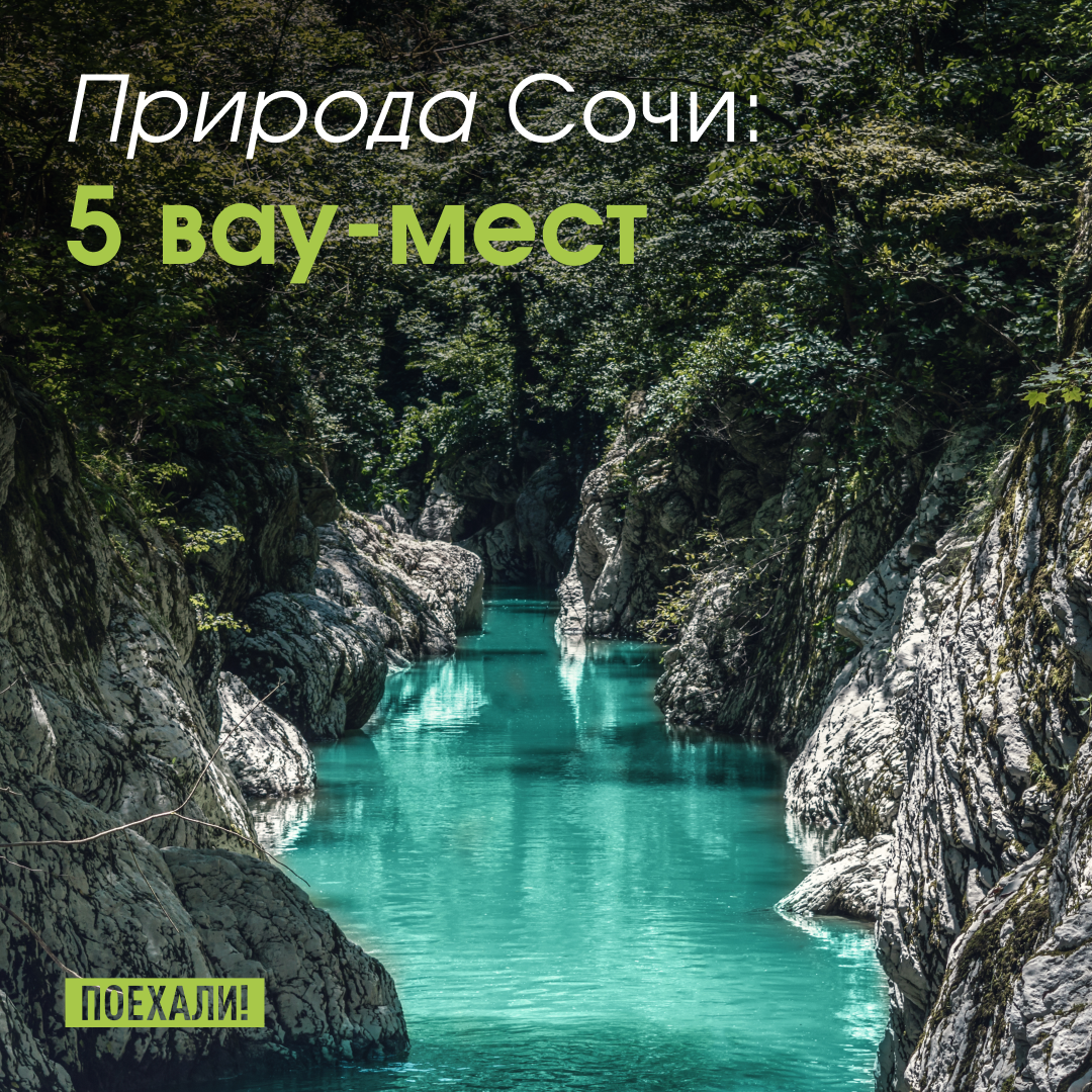 © Yevtushok Tatyana/ Shutterstock 