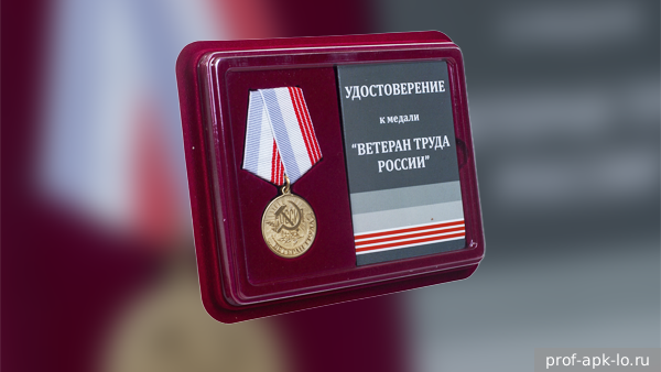     Фото: prof-apk-lo.ru   
 Текст: Ольга Никитина