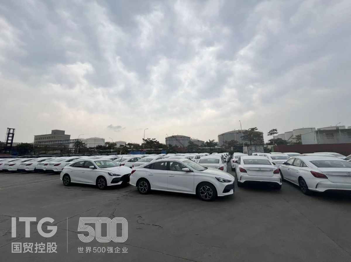 Автопарк Xiamen Xindeco ITG