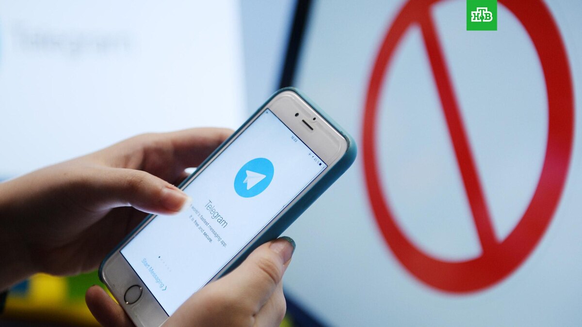    Фото: РИА Новости © 2024, Кирилл Каллиников