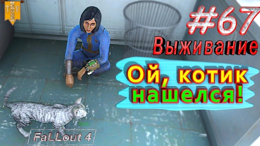 Ой, котик нашелся! Fallout 4. #67. Прохождение. Выживание. Русская озвучка.