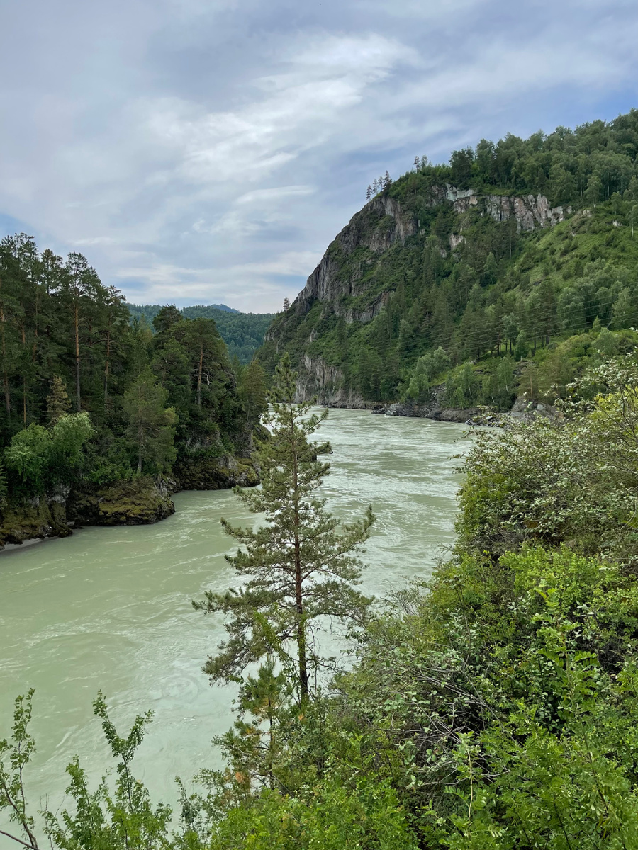 Алтай. Река Катунь.