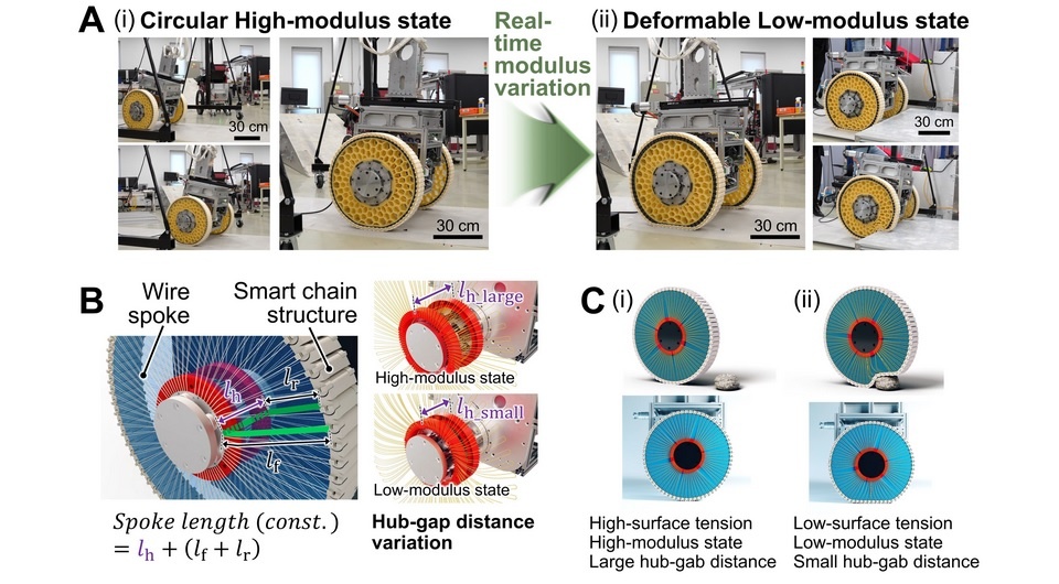  Jae-Young Lee et al. / Science Robotics, 2024