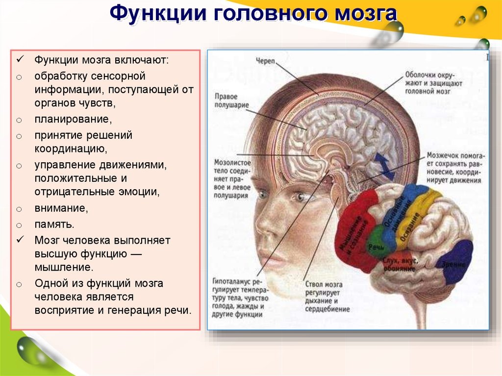 Картинка из свободного доступа 