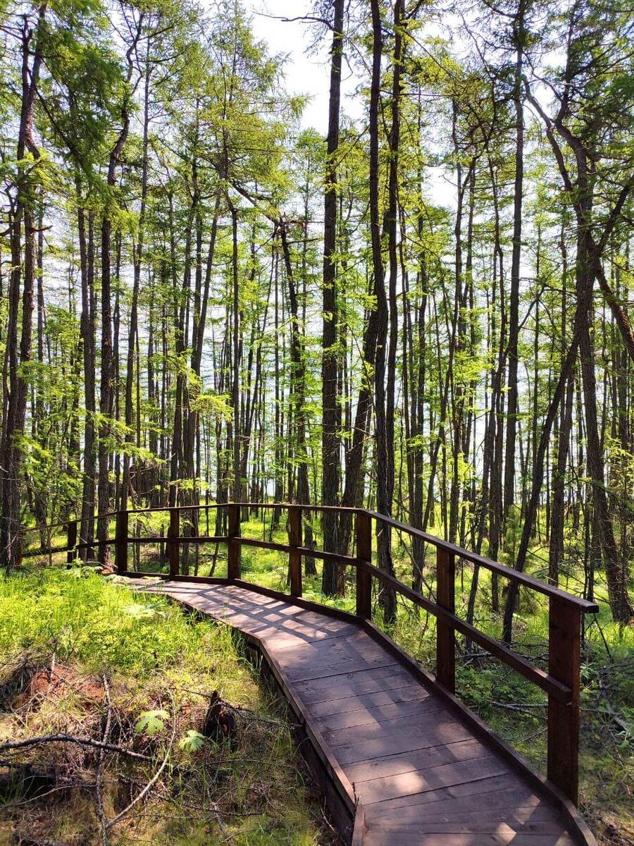 Та самая дорожка, по которой идём молча