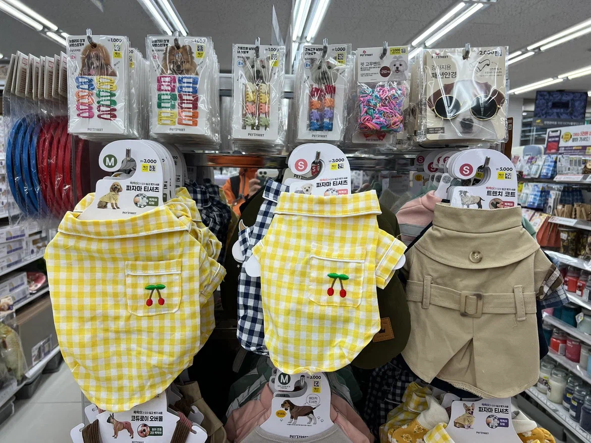 Daiso travelstar ushka