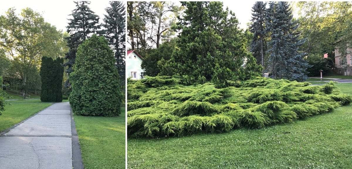 Дорожки к озеру.