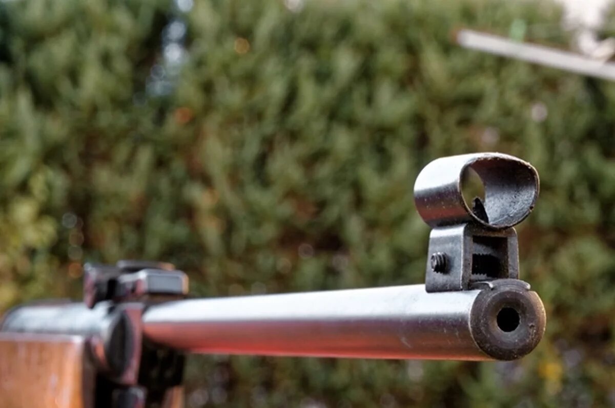    В Ингушетии один мальчик ранил другого в висок из пневматической винтовки