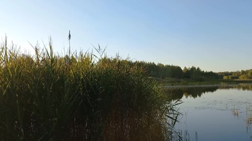 Озеро Рязановское. Рыбу не поймали, Релакс