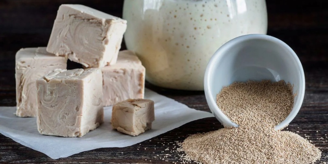 Пять видов дрожжей. Методы их использования, взаимозаменяемость и несколько слов о закваске