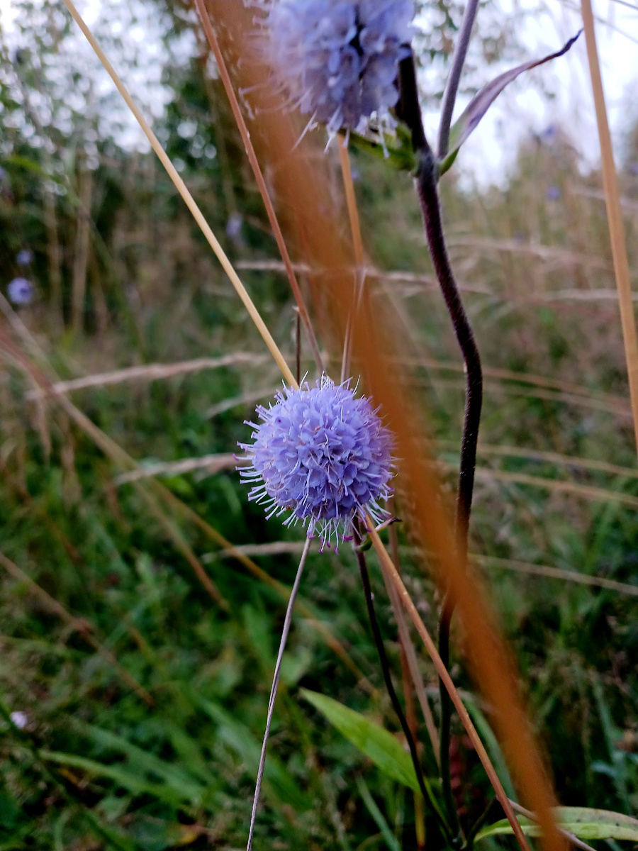 "Доброе утро, мир! Ты прекрасен!" Фото автора