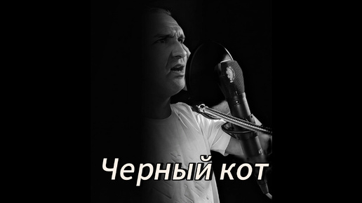 Черный кот. Олег Майстер. Oleg Meister.