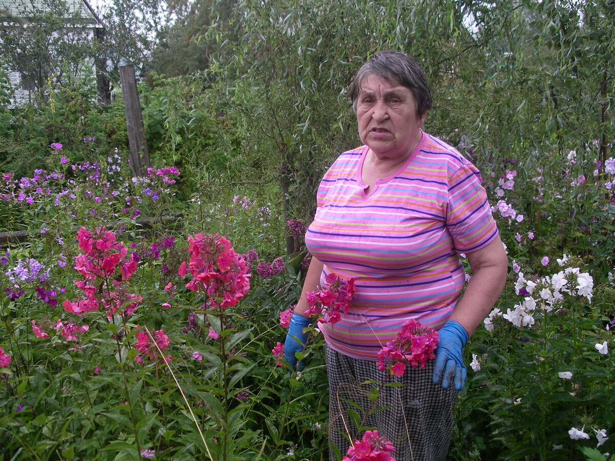 Шаповал Татьяна Павловна со своими флоксами
