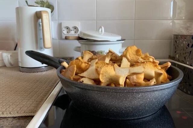    С какими продуктами нельзя есть грибы?