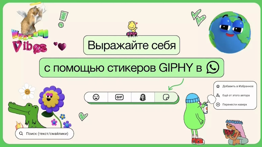 (C) WhatsApp