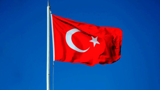    Лесные пожары охватили шесть провинций Турции, в Измире огонь перекинулся на дома Сергей Бунеев