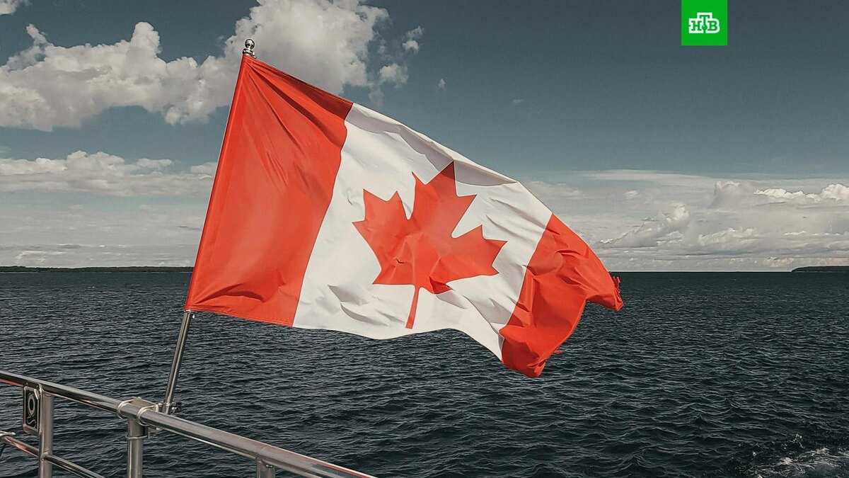    Фото: Ravi Patel / unsplash.com