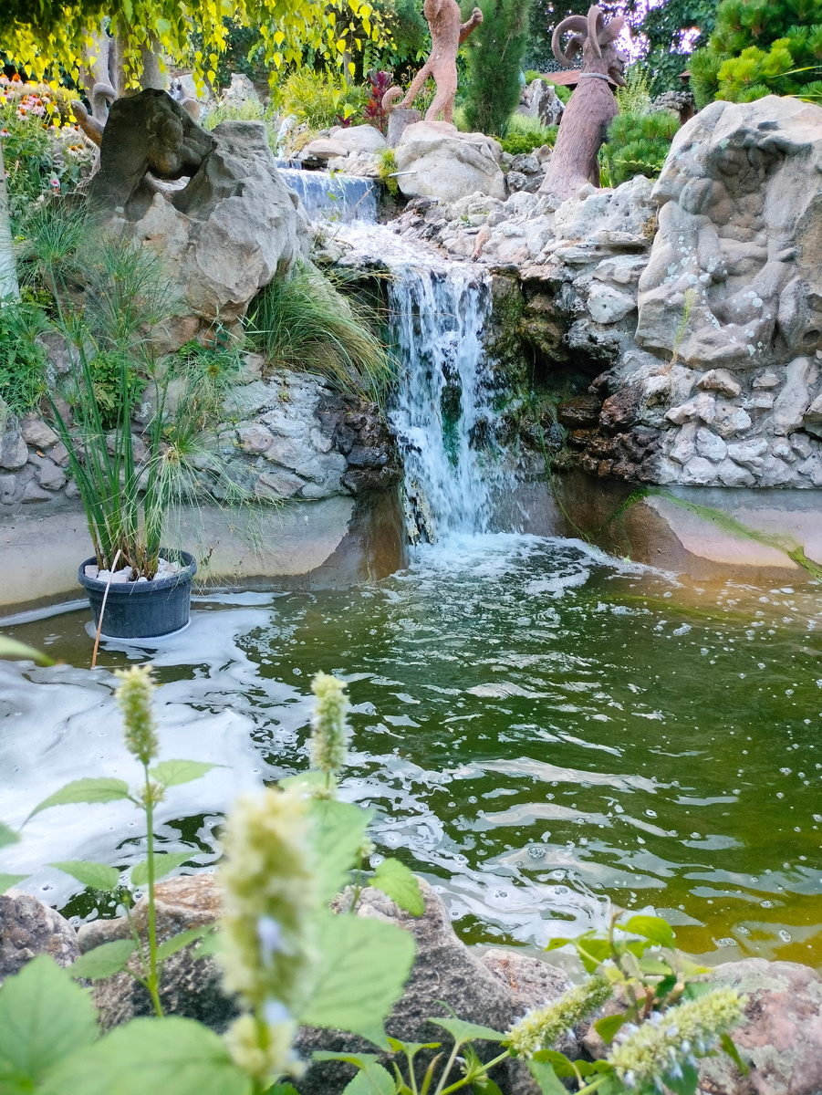 Одна из многочисленных локаций парка Лога