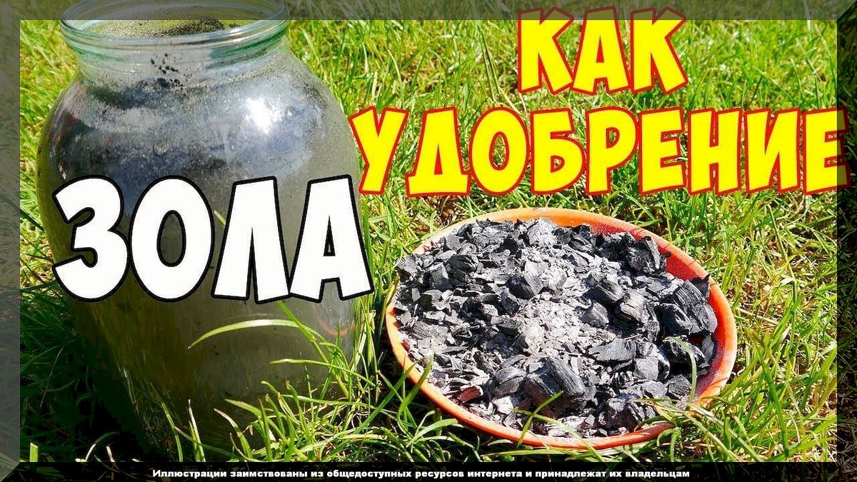 https://vk.com/photo-159774511_457266516