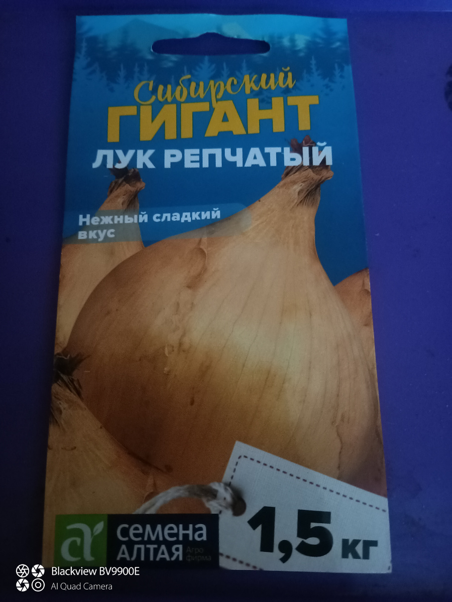 Семена, в пачке 0,2 г, это штук 30 наверное. 