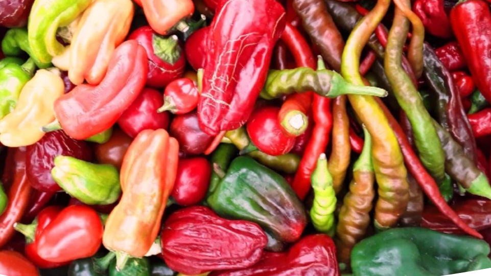 3 необычных и очень вкусных заготовки на зиму из болгарского перца