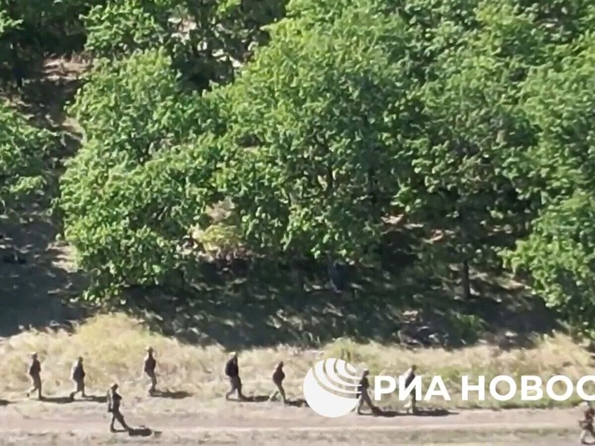    Бойцы ВСУ сдаются в плен в районе Комаровки Курской области© Силовые структуры