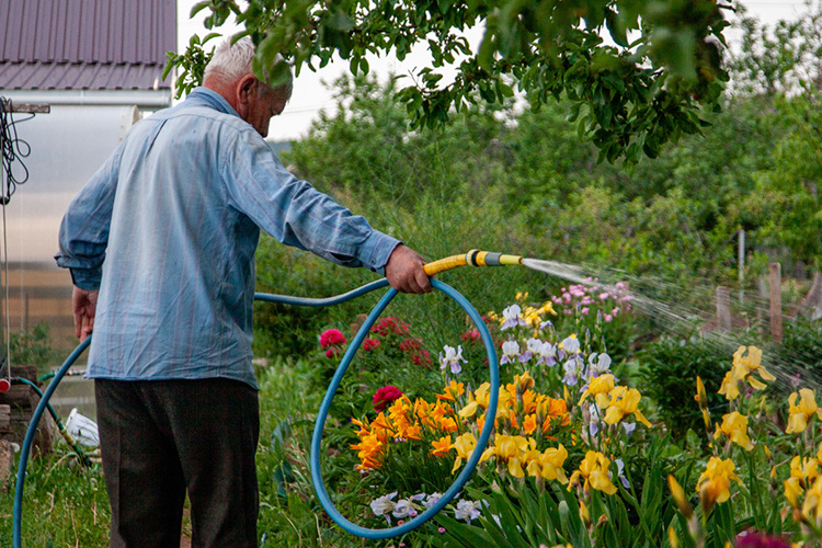    «Президент России Владимир Путин подписал закон, согласно которому с 1 марта 2025 года владельцу земельного участка ИЖС, садов и огородов дается три года на его освоение. Это распространяется как на старых, так и «свежих» собственников».   
Фото: «БИЗНЕС Online»