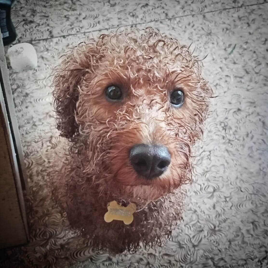 Румпель: - Чем тебе кухня наша не нравится? Отличная кухня. Мыться можно. На кухне.